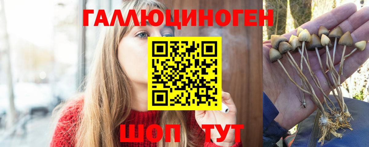 Сосновый Бор  Псилоцибиновые грибы мухоморы  Вход с VPN  Галлюциногенные грибы ЛСД 